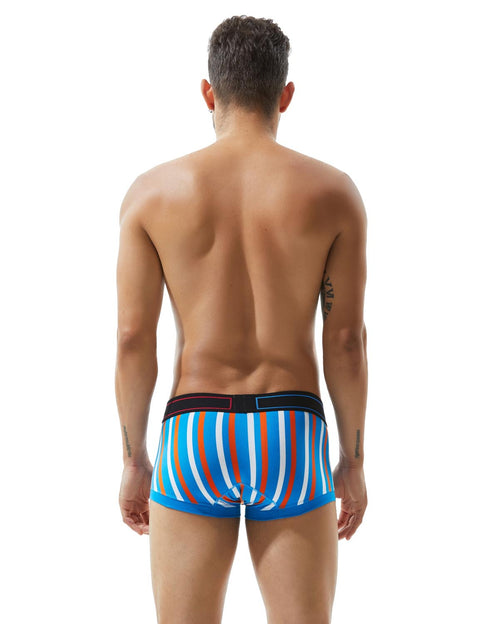 Low Rise Stripe Boxer Brief 80214