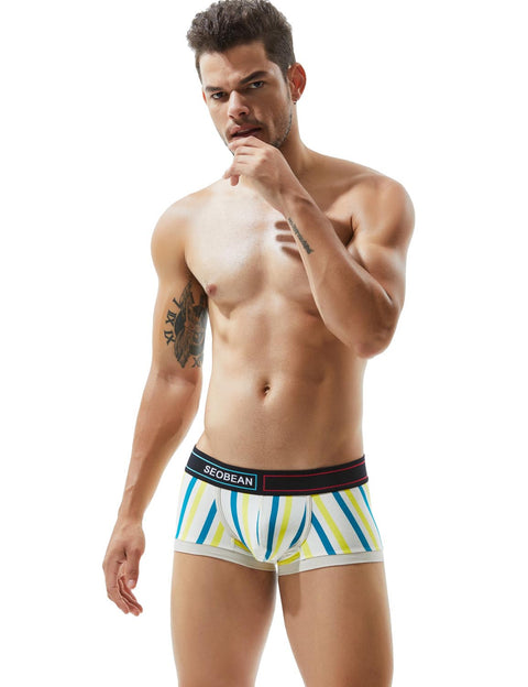 Low Rise Stripe Boxer Brief 80214