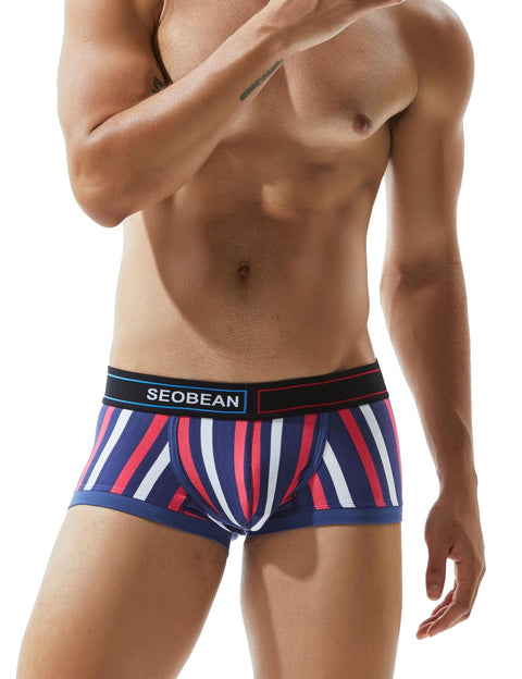 Low Rise Stripe Boxer Brief 80214