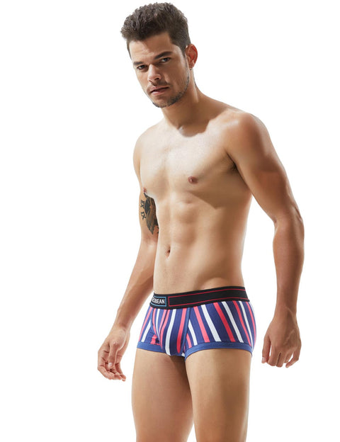 Low Rise Stripe Boxer Brief 80214