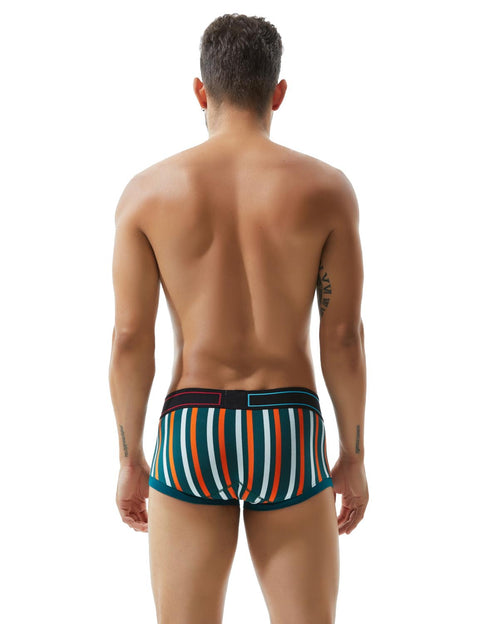 Low Rise Stripe Boxer Brief 80214